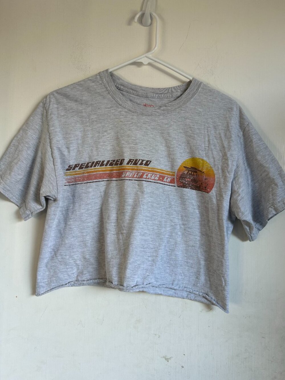 Vintage Santa Cruz Cropped Tee Shirt